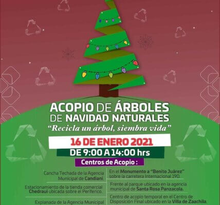campaña de acopio de árboles navideños