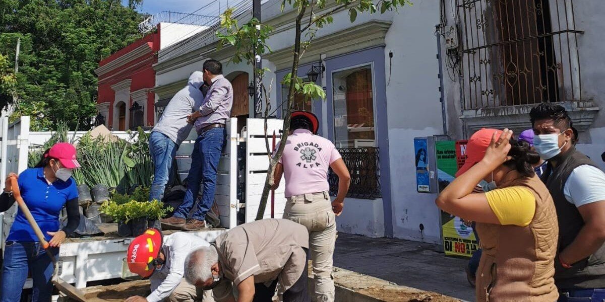 Rescata Ayuntamiento de Oaxaca áreas verdes