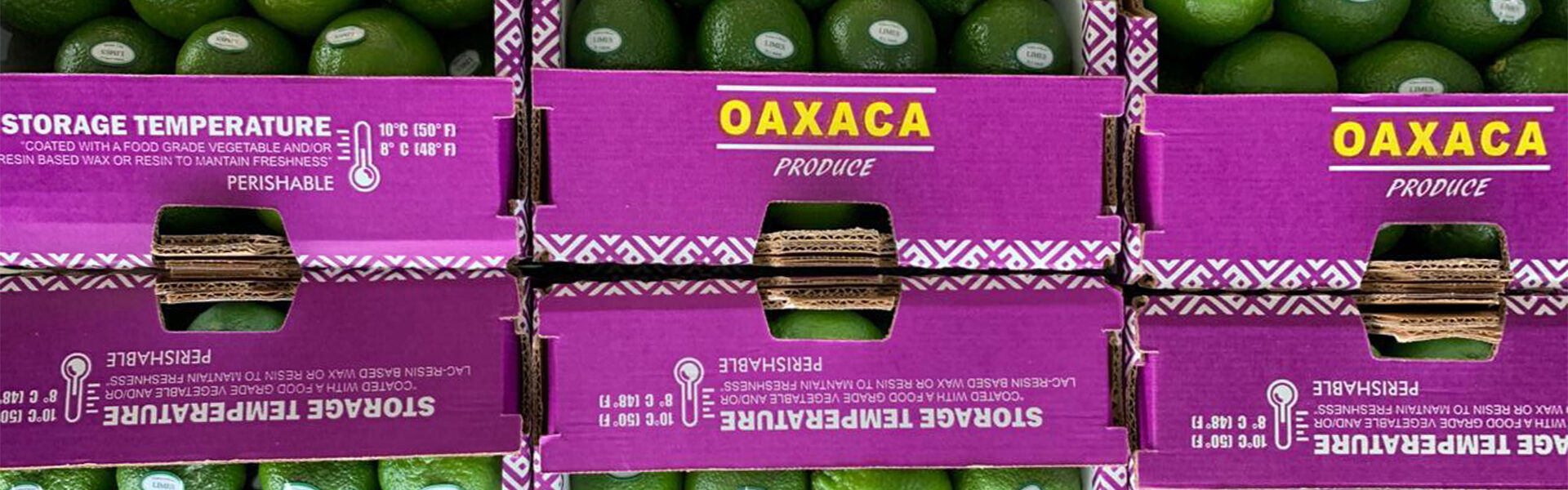 Se consolida Oaxaca como productor agroalimentario