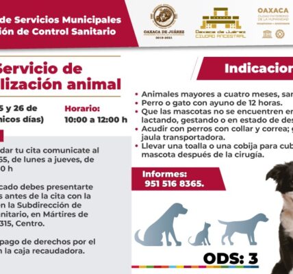 Ofrecerá Ayuntamiento servicio de esterilización animal