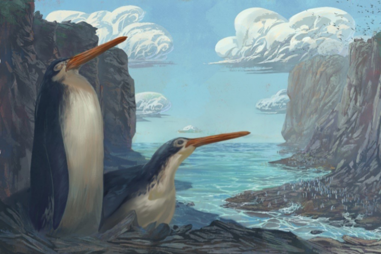 Un grupo de niños descubre el fósil de una especie de pingüino prehistórico gigante