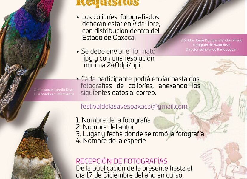 Festival de las Aves Oaxaca invita a concurso de fotografía